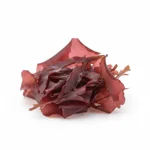 Algue dulse