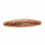 Anchois à l'huile d'olive