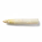 Asperge blanche