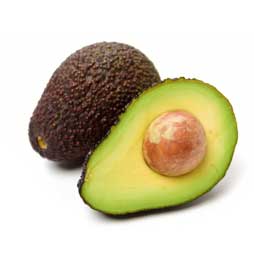 Avocat