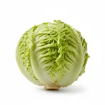 Bibb lettuce
