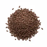 Bière brune