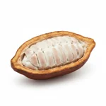 Boisson au Chocolat