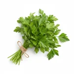 Bouquet persil