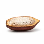 Cacao