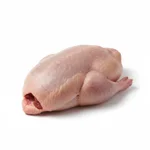 Canard