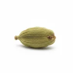 Cardamome