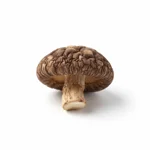 Champignon chinois