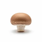 Champignon de Paris brun