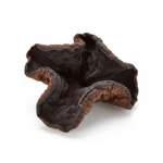 Champignon noir