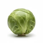 Chou de bruxelles