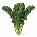 Chou kale