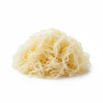Choucroute