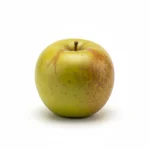 Cidre