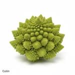 Colin