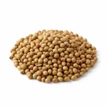 Coriandre en grain
