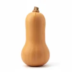 Courge musquée
