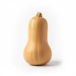 Courge