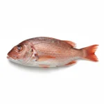 Court-bouillon de poisson