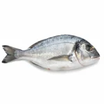 Dorade