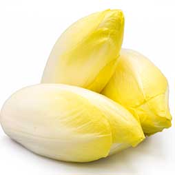 Endive