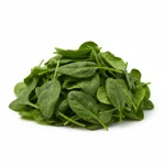 épinard frais
