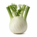 Fenouil