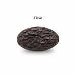 Fève