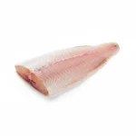 Filet de dorade