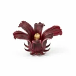 Fleur d'hibiscus