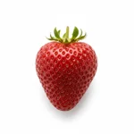 Fraise « Mara des bois »