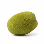 Fruit du jacquier