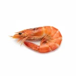 Gambas