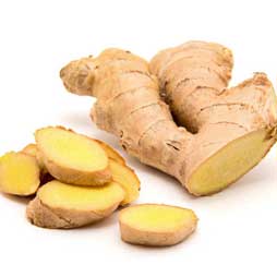 Gingembre