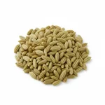 Graine de fenouil
