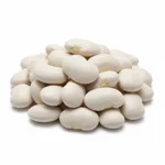 Haricot blanc judion