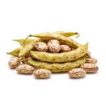 Haricot coco