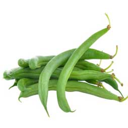 Haricot vert extra-fin