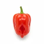 Hot sauce