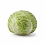 Iceberg