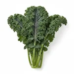 Kale