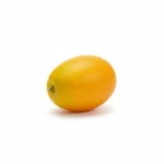 Kumquat