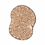 Lamelle de truffe