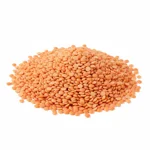 Lentille corail