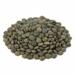 Lentille verte