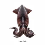 Lieu noir