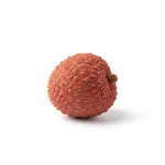 Litchi