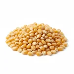 Maïs à pop corn