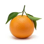 Mandarine