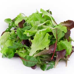 Salade de mesclun